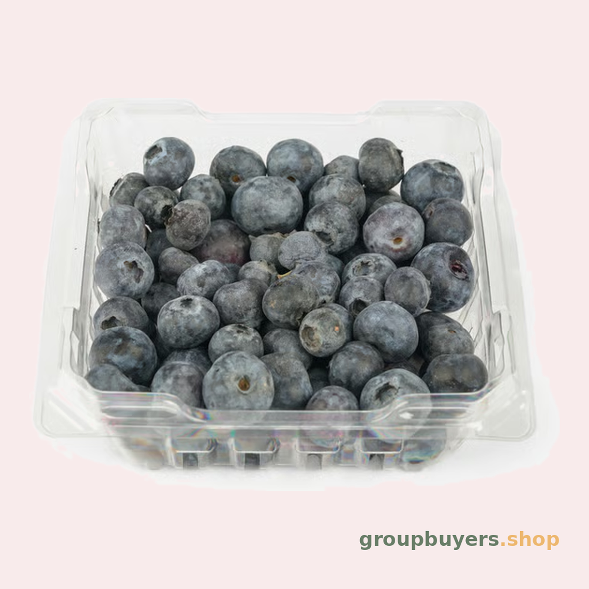 Blueberry in a boz
