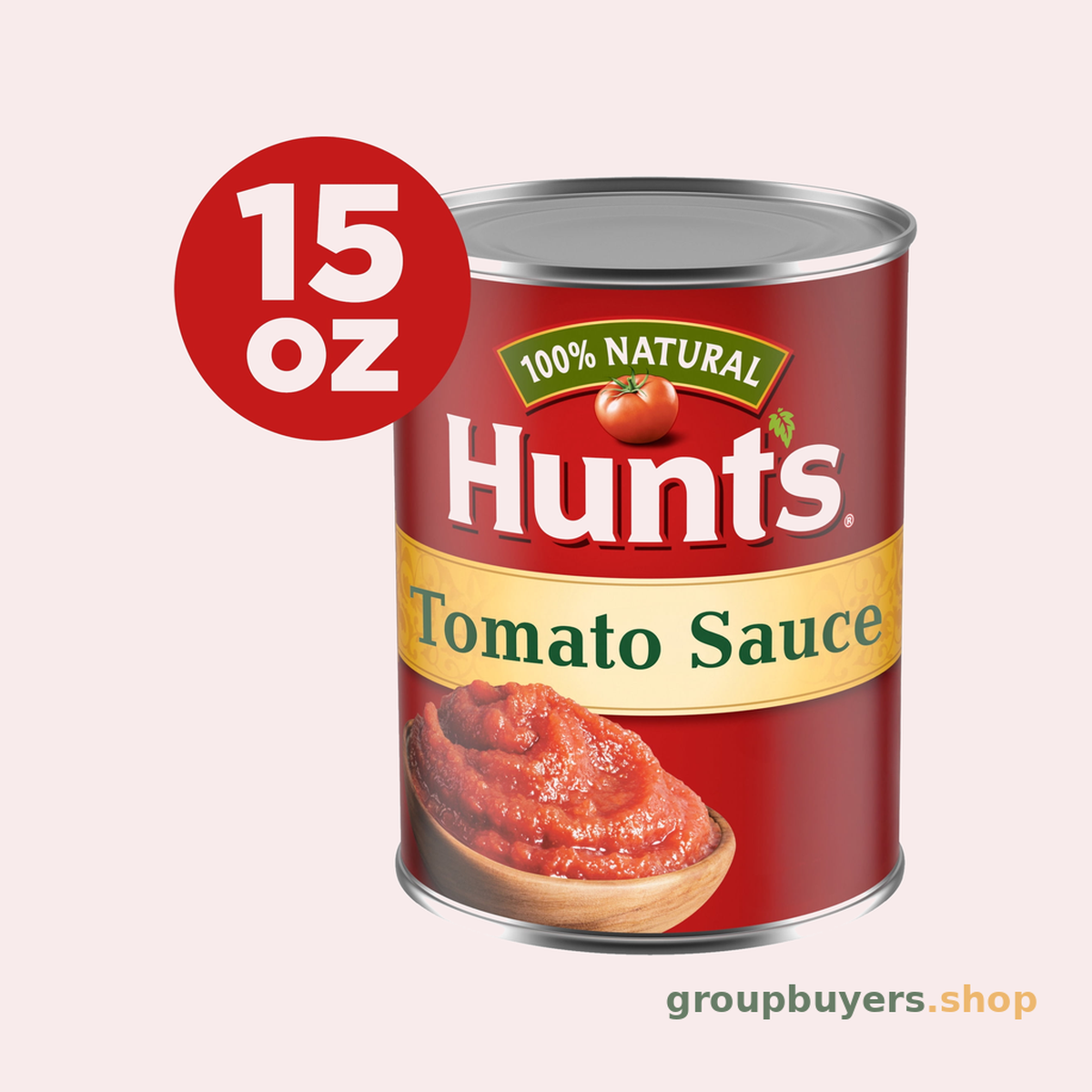 HUNT'S TOMATO SAUCE - REG