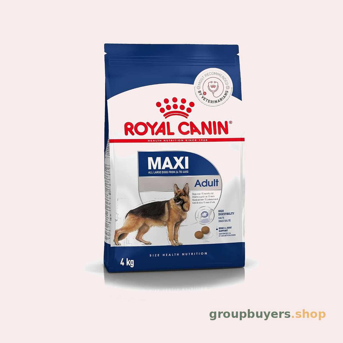 ROYAL CANIN MAXI ADULT DOG