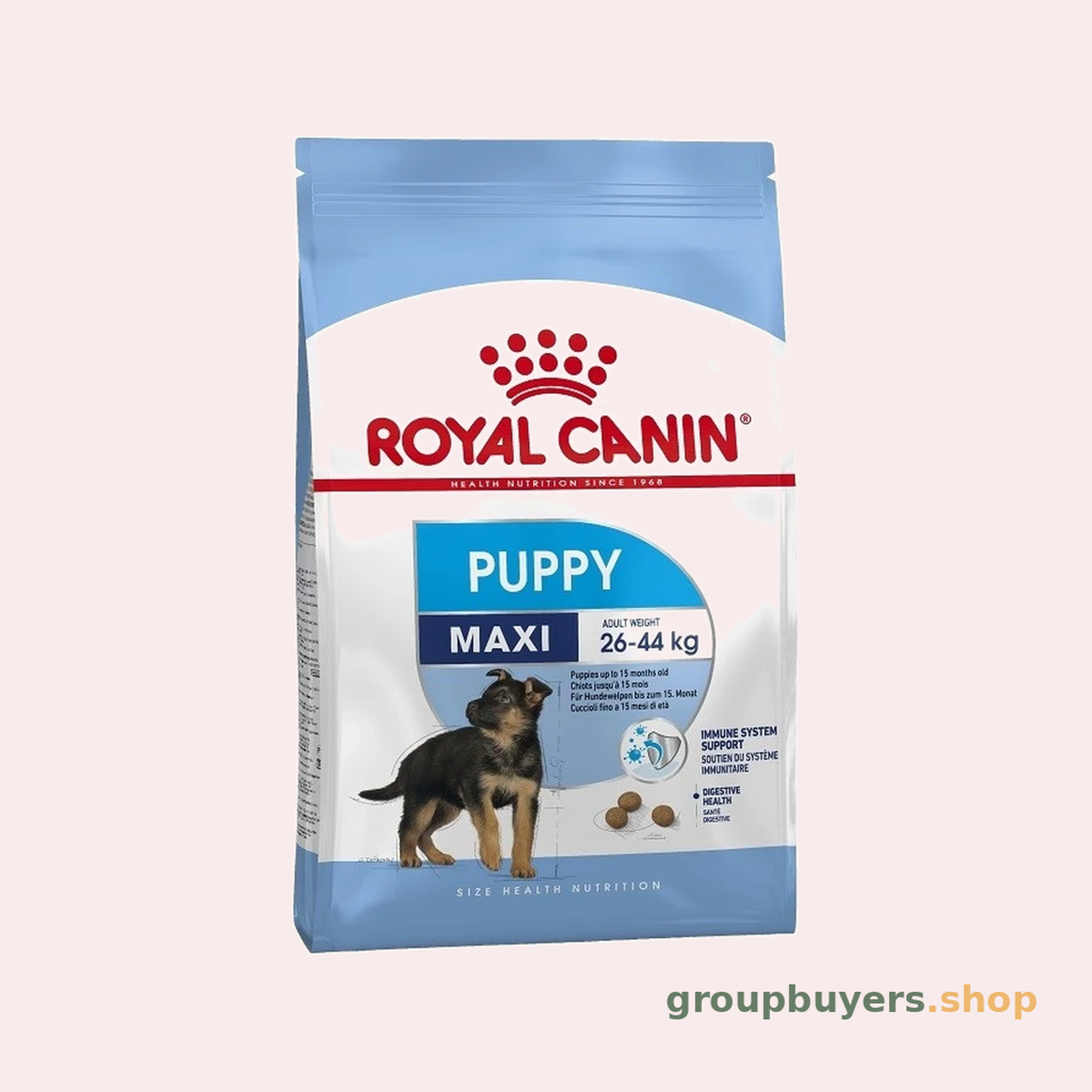 ROYAL CANIN MAXI PUPPY