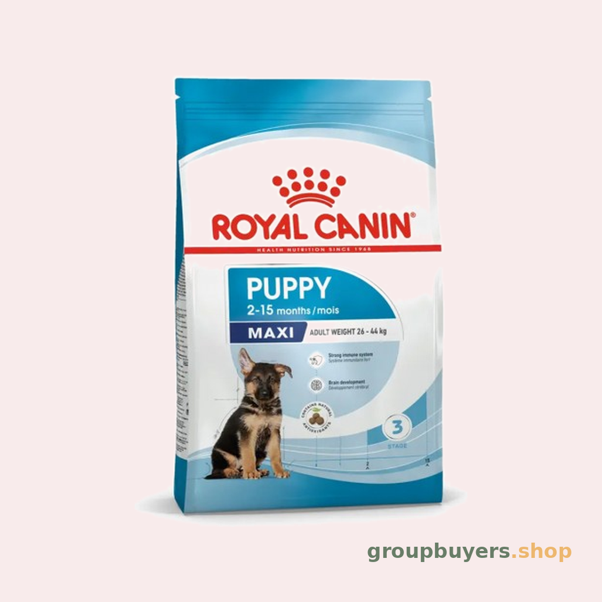 ROYAL CANIN MAXI PUPPY