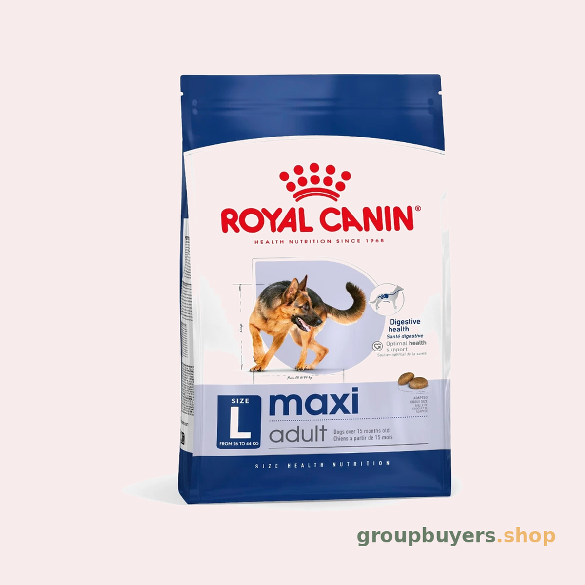 ROYAL CANIN MAXI ADULT DOG