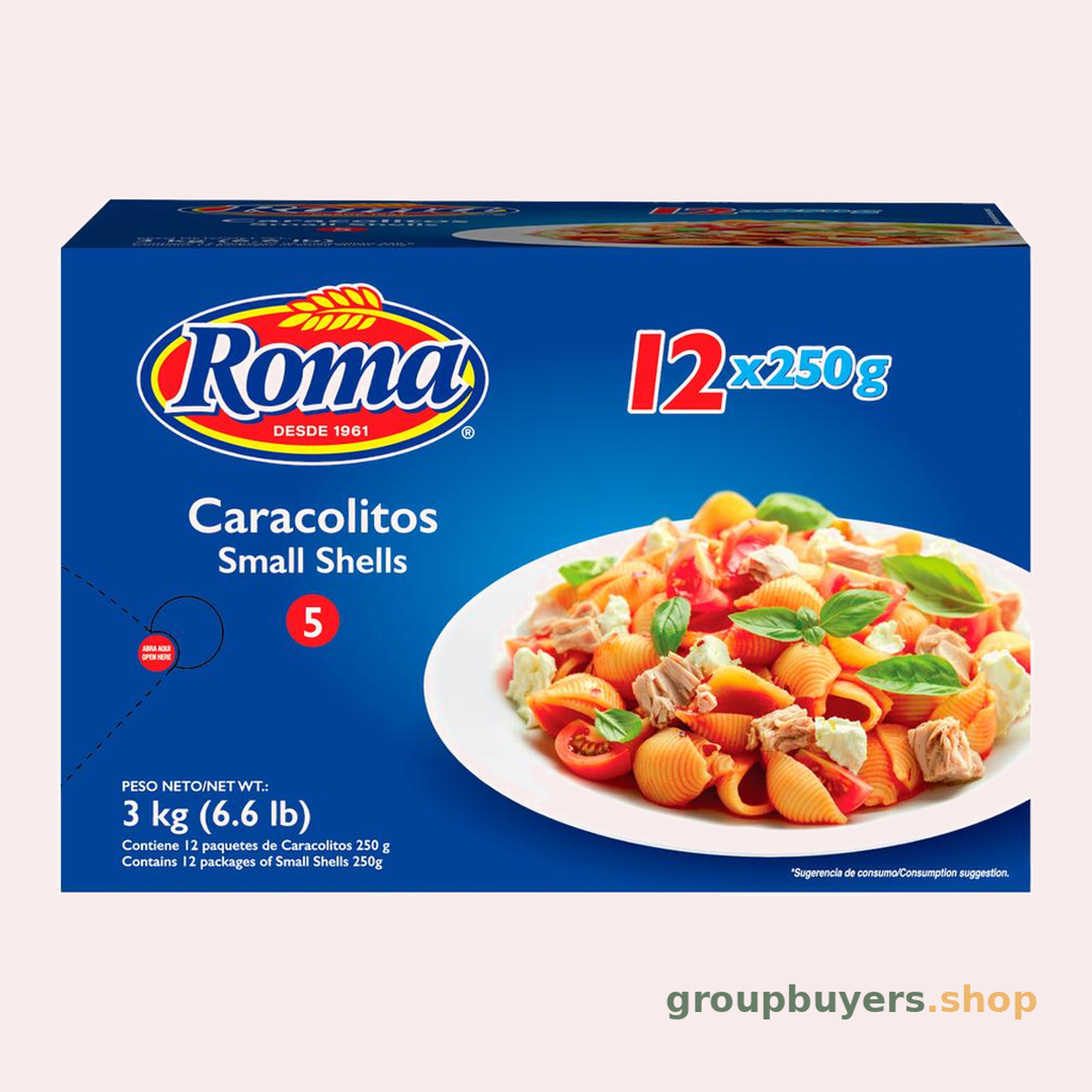 ROMA SMALL SHELLS