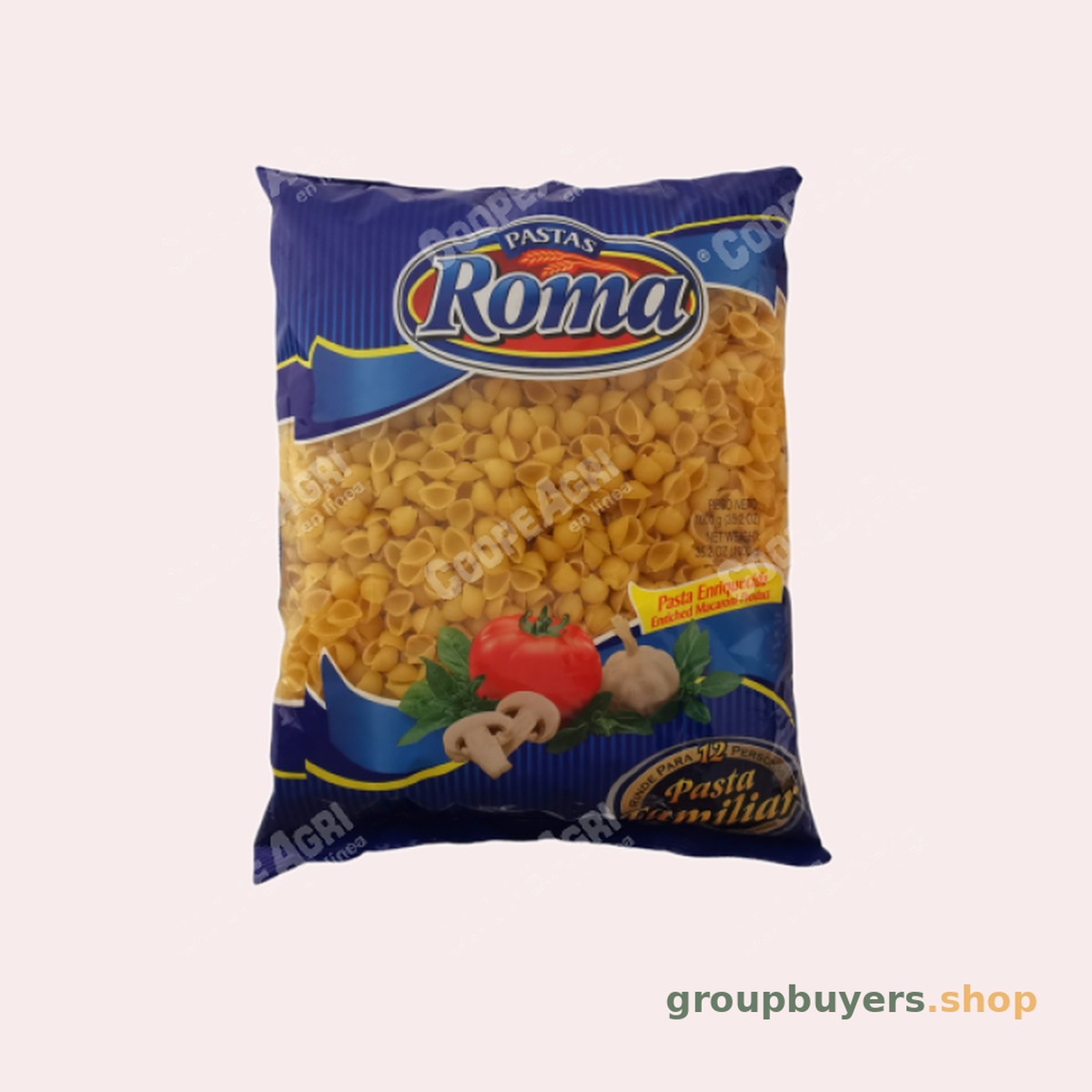 ROMA SMALL SHELLS
