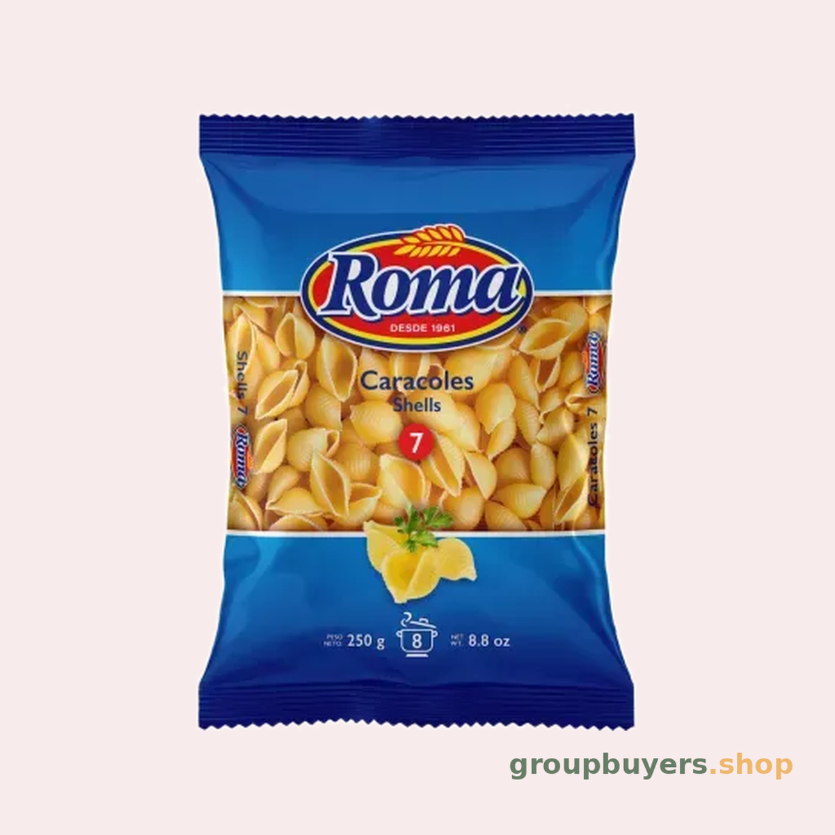 ROMA MEDIUM SHELLS