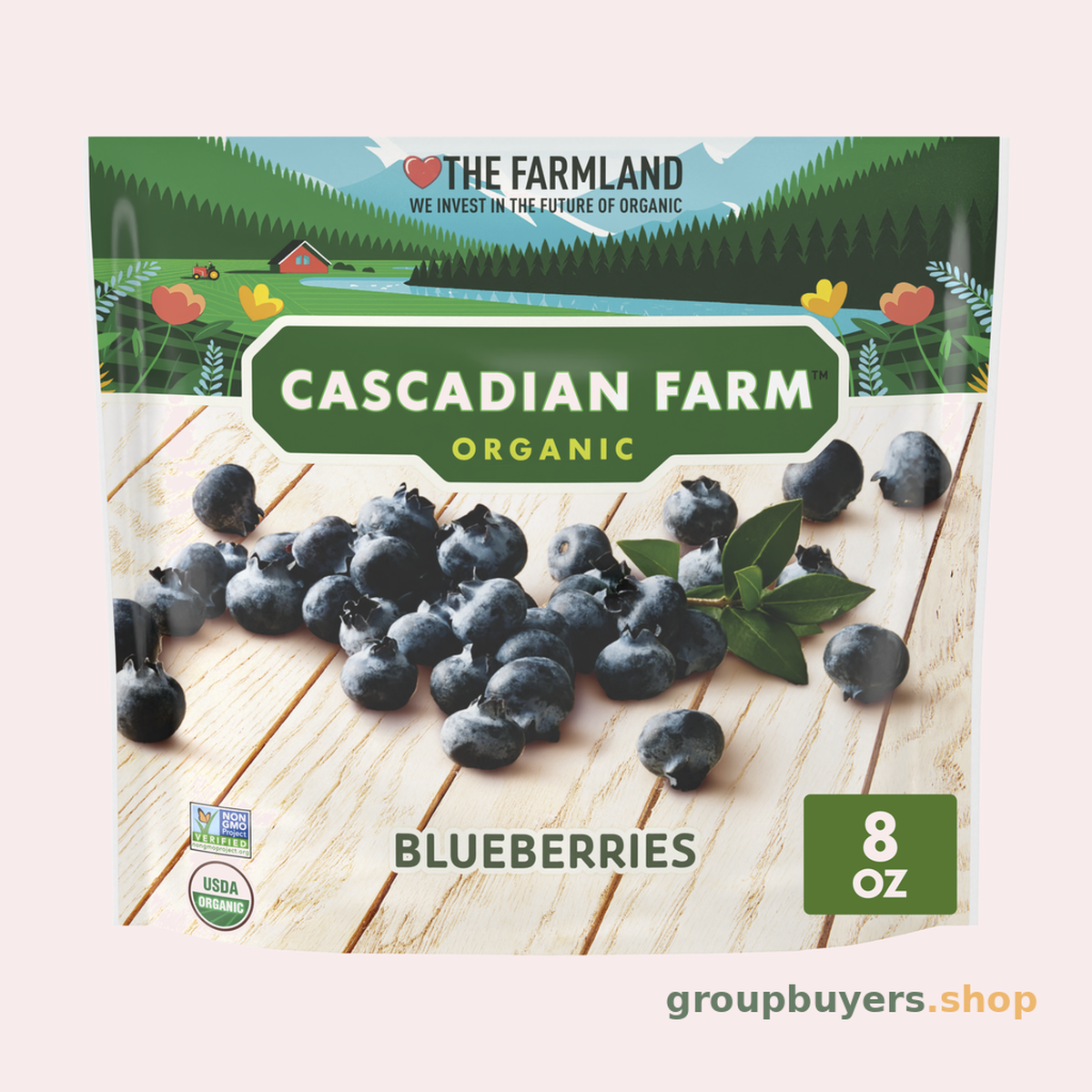 CASCADIAN FARM ORGANIC FRUIT BLUEBERRY 12x8OZ