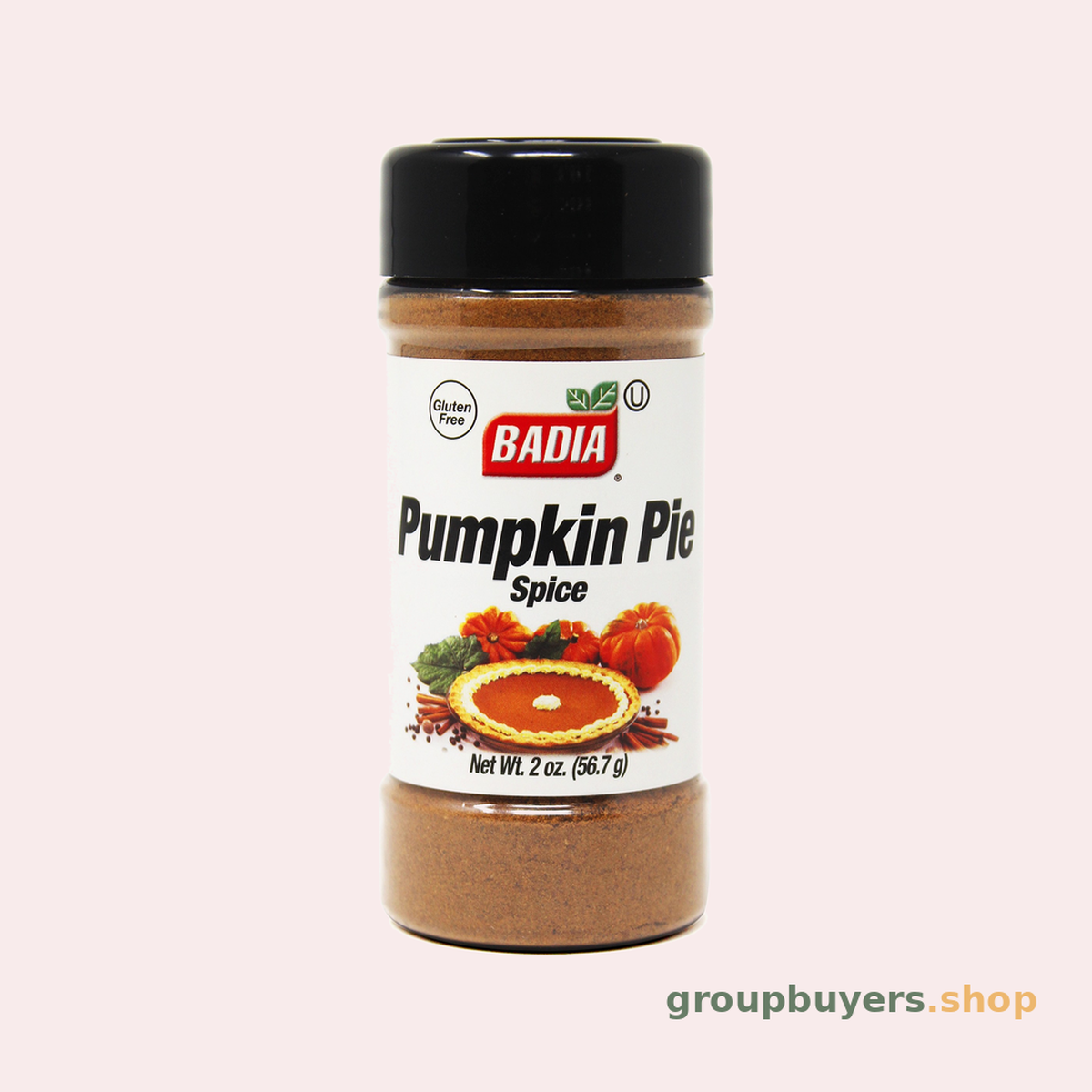BADIA SPICES PUMPKIN PIE SPICE