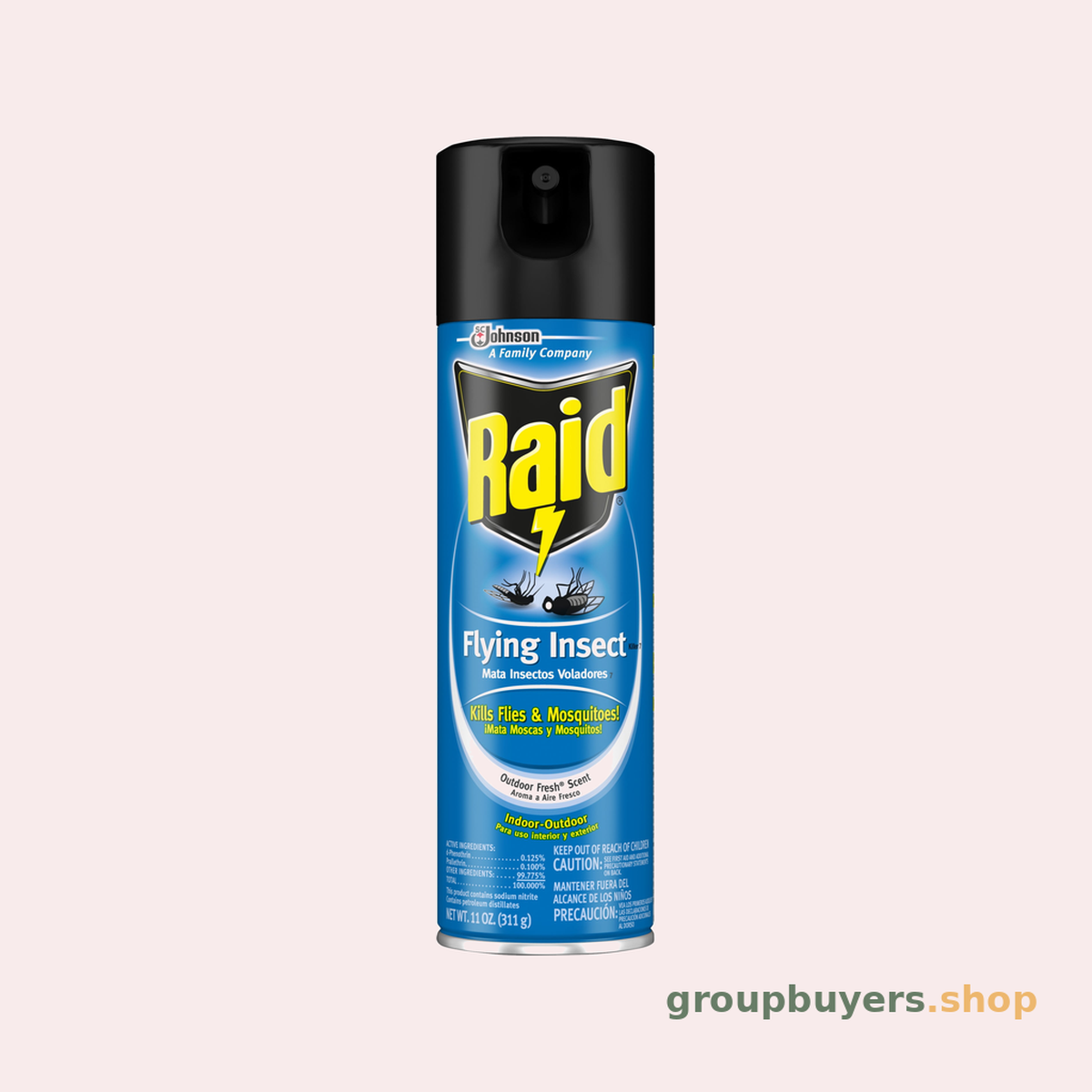 RAID FLYING INSECT KILLER OUTDOOR FRESH