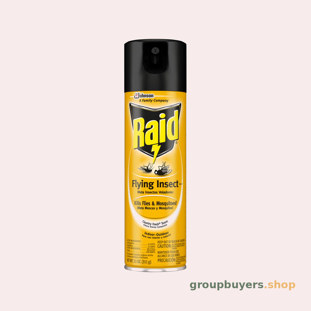 RAID FLYING INSECT KILLER COUNTRY FRESH