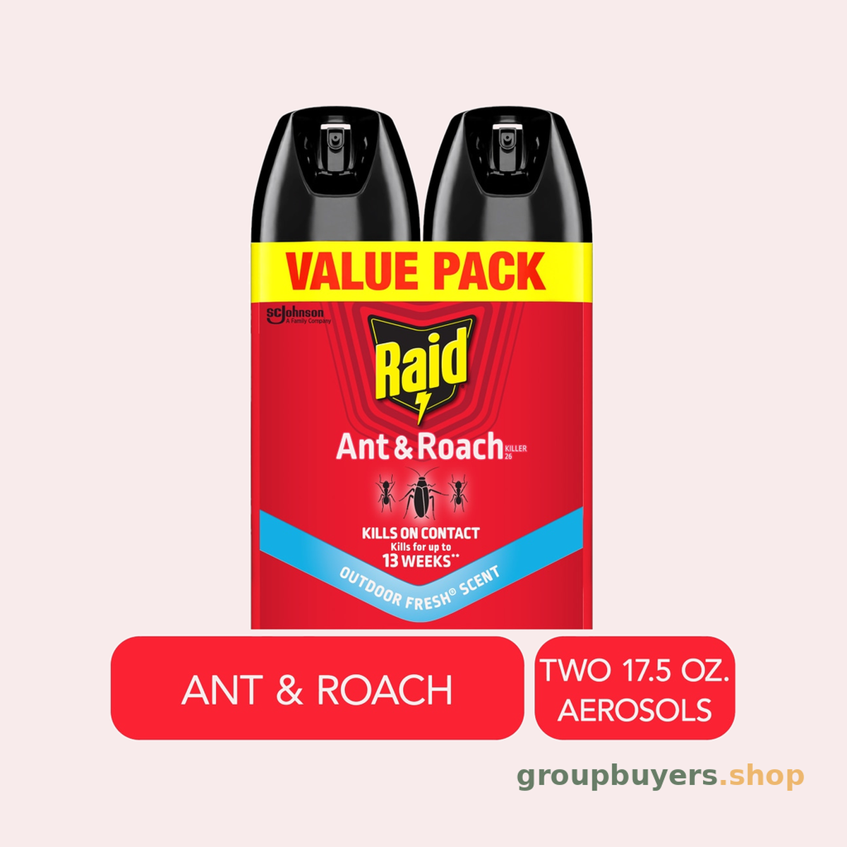 RAID ANT & ROACH OUTDOOR FRESH