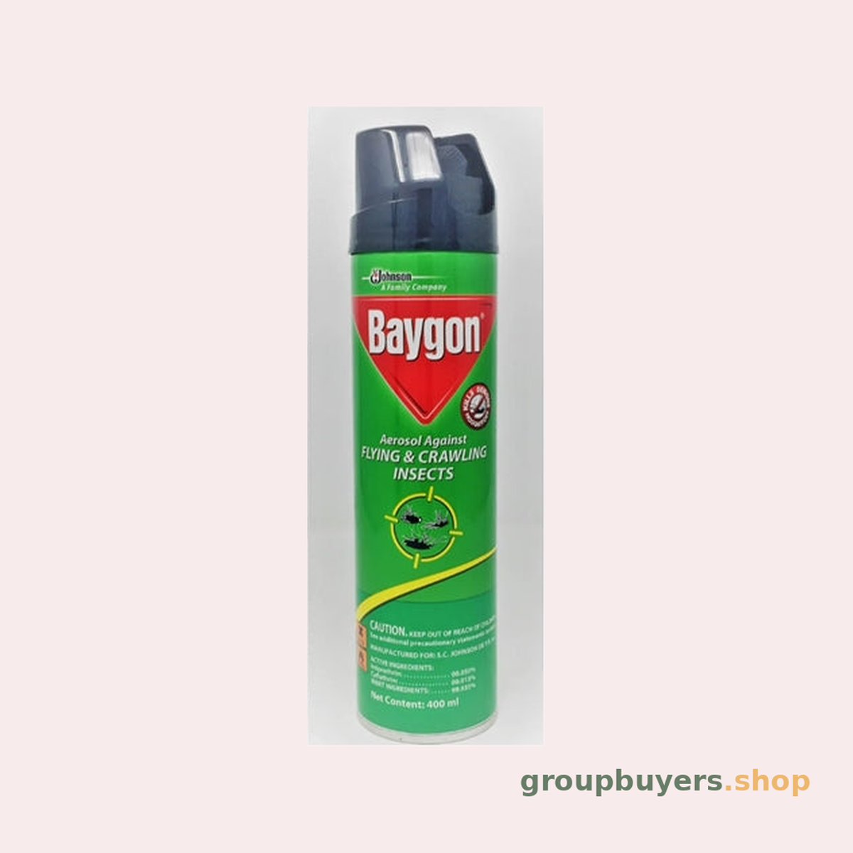 BAYGON EUCALYPTUS AEROSOL