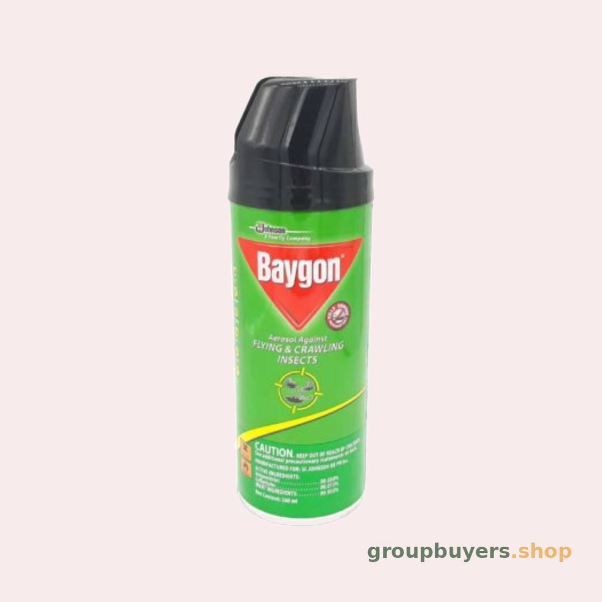 BAYGON SPRAY