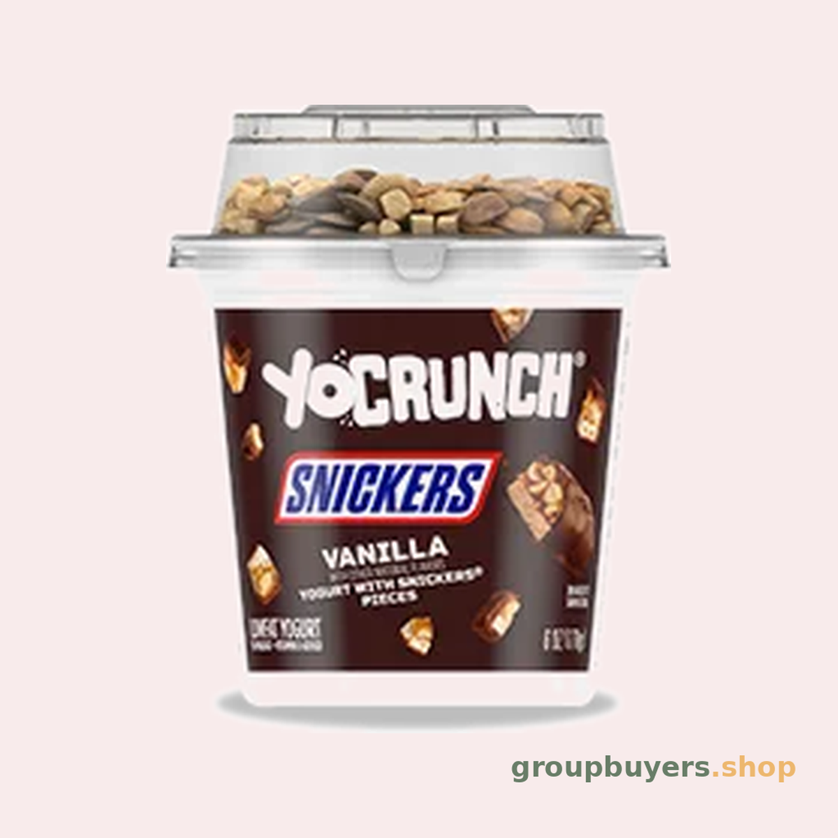 YoCrunch Vanilla Low Fat Yogurt/Snickers