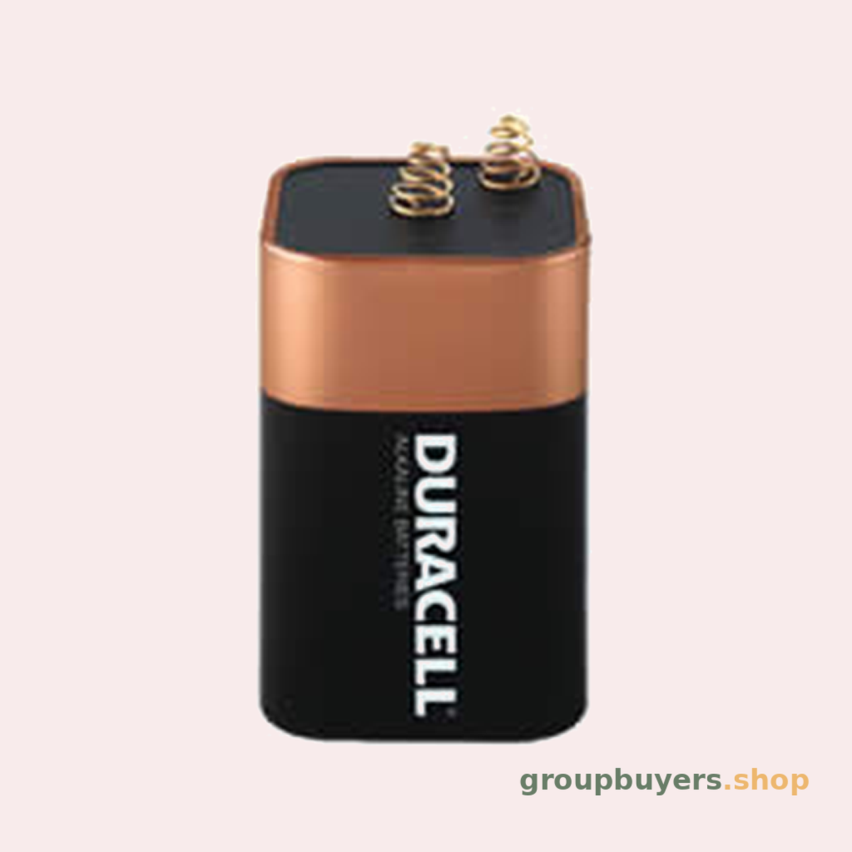 DURACELL ALKALINE 6V  (SPRING TYPE)